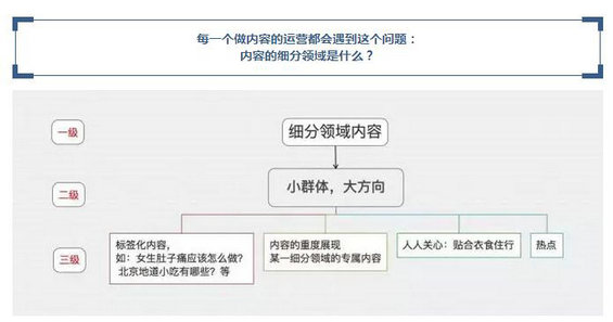 263 内容的细分领域是什么？